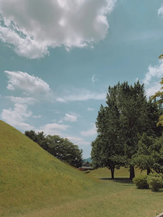 a po taken from the ground with trees and grass below