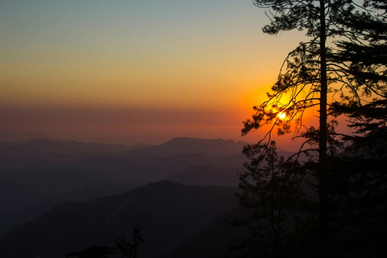 the sun setting through the trees in the distance