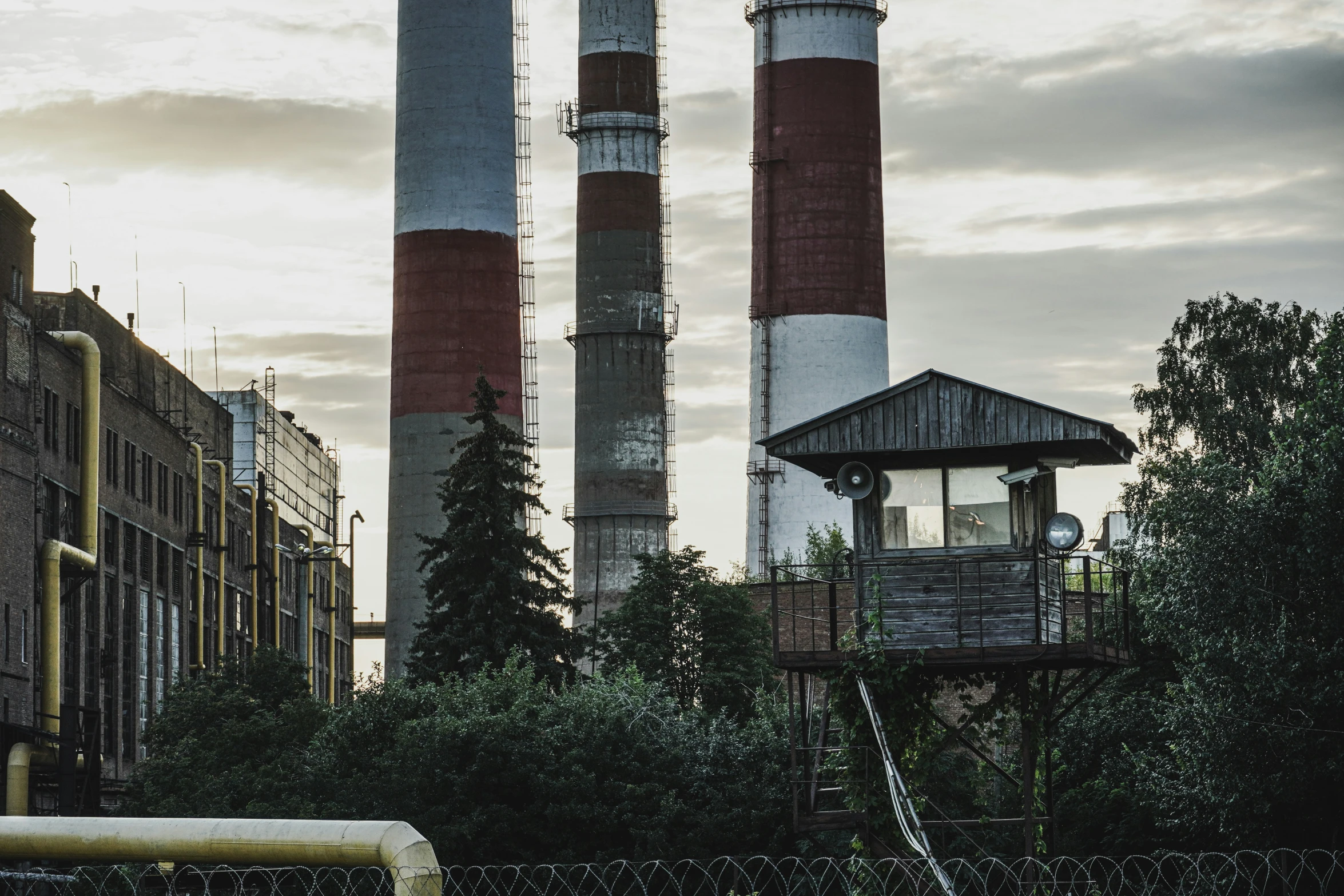 chimneys and pipes rise over trees and other buildings