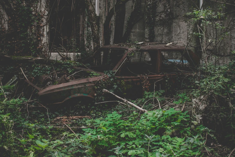 an old broken down vehicle in a field full of vegetation