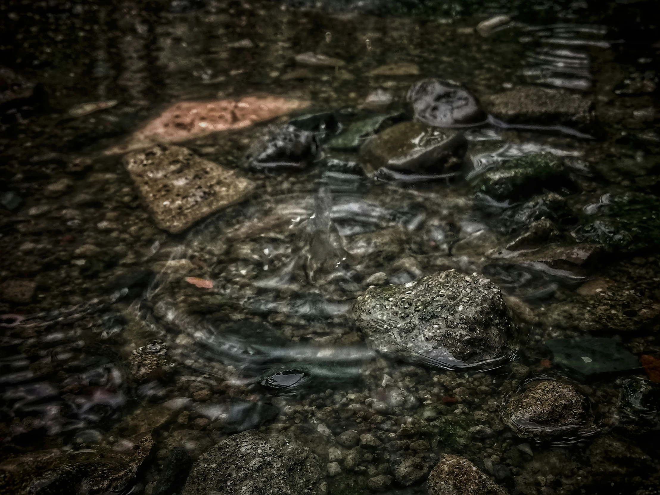 a close - up of some rocks and water at night