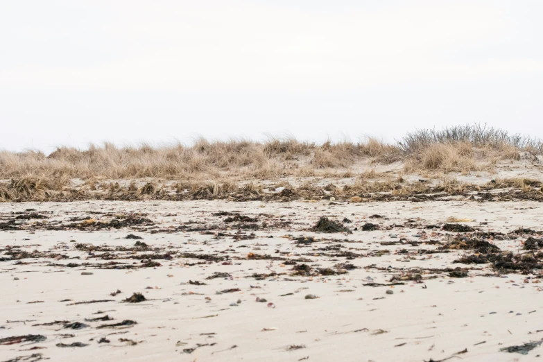 a white bench sits on a beach and grass