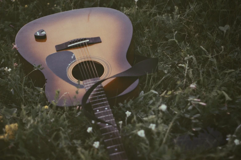 an acoustic guitar laying on the ground near some flowers