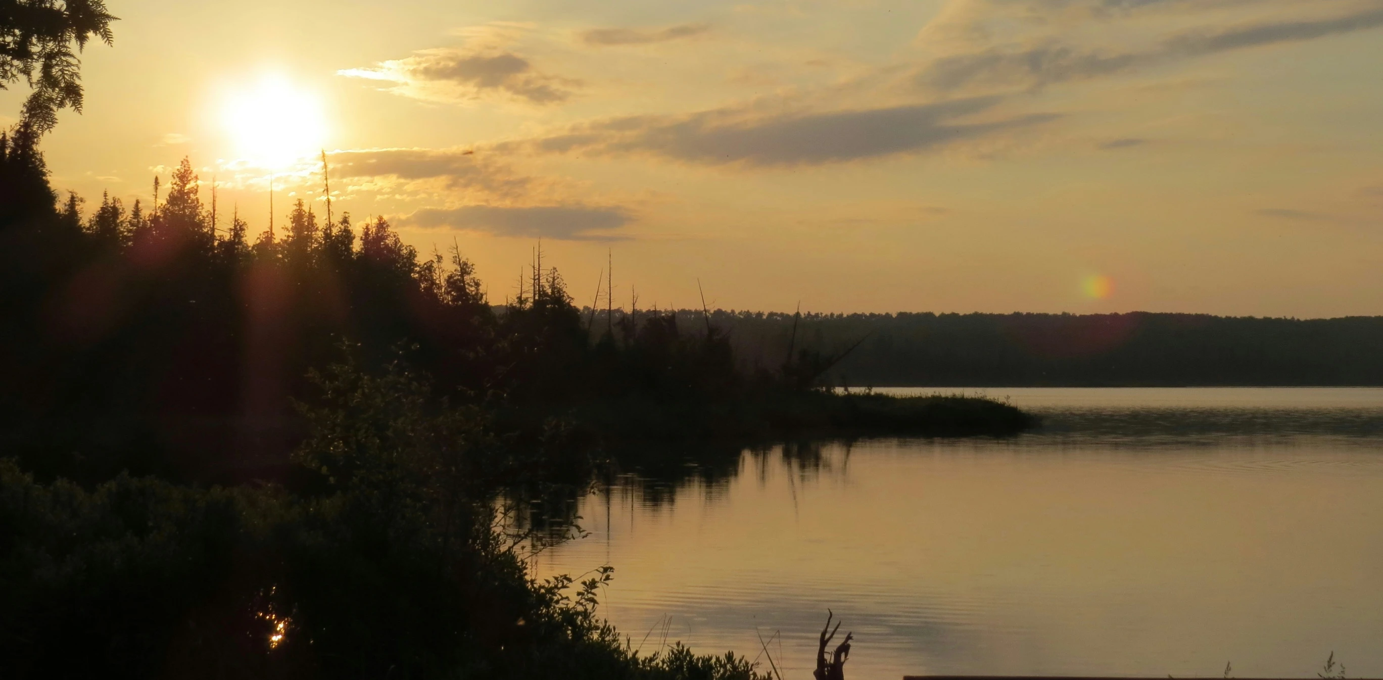 the sun is shining over a lake with pine trees