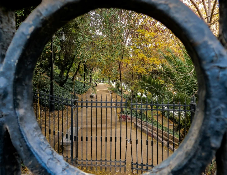 an iron gated in park with trees around it