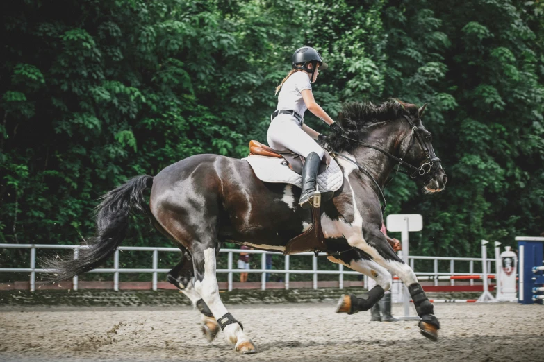 an equestrian is riding a horse at the stable