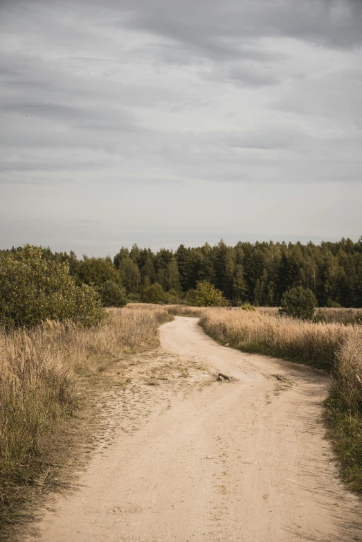 an empty path in the middle of some grass