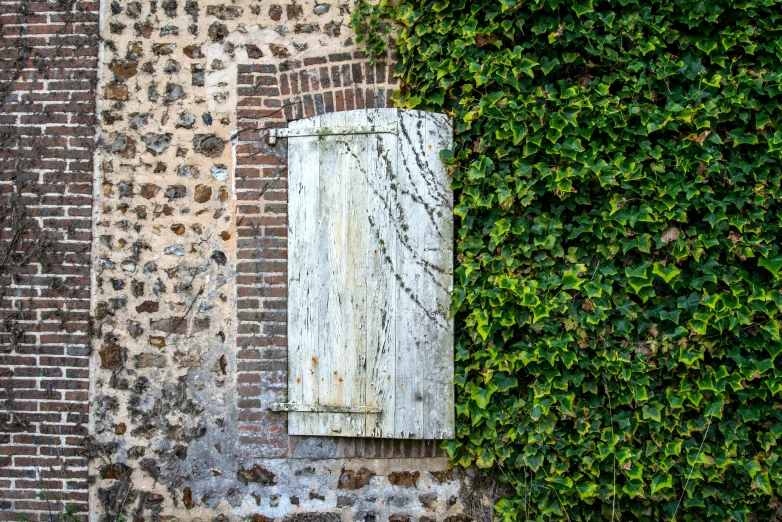 a weathered window that has been missing the trim in front of a green wall