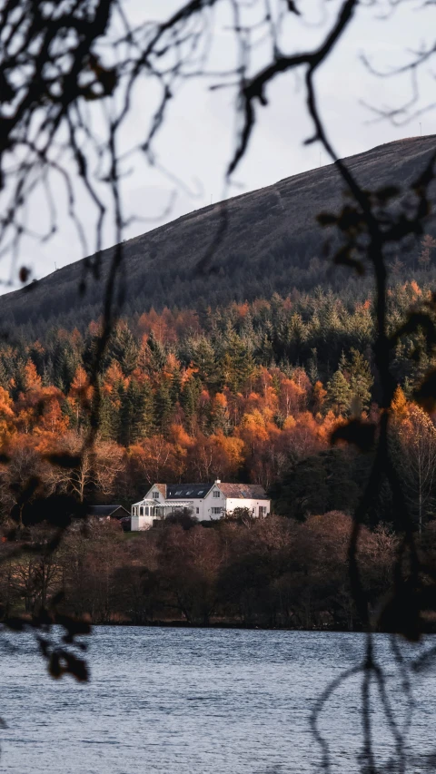 an image of a house sitting in the woods