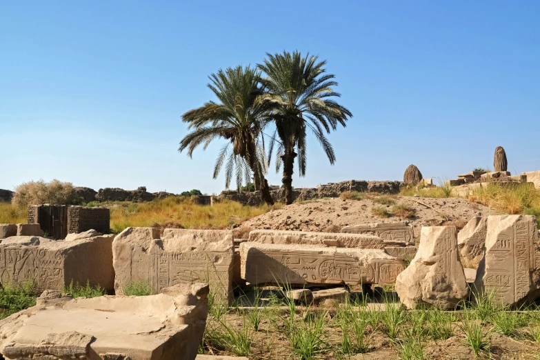 the ruins of ancient city with trees and rocks