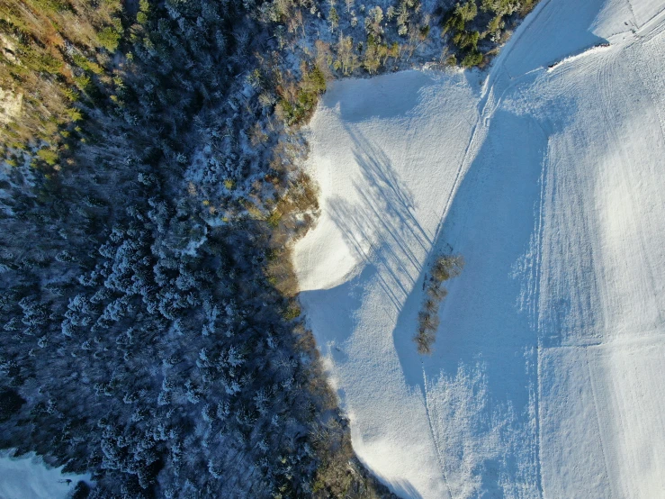 a snow covered mountain top with a lot of trees