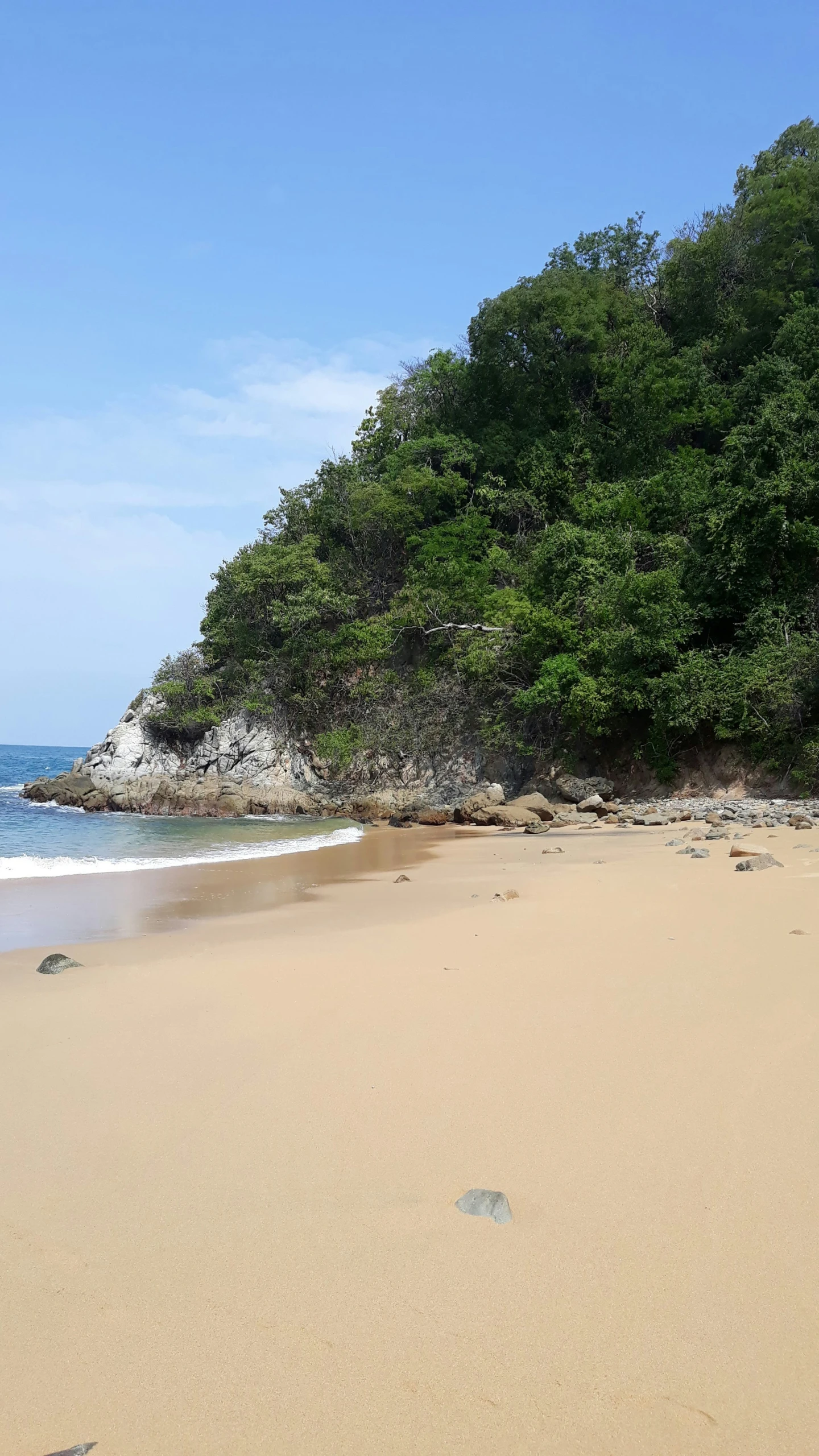 a picture of a beach with green trees on top