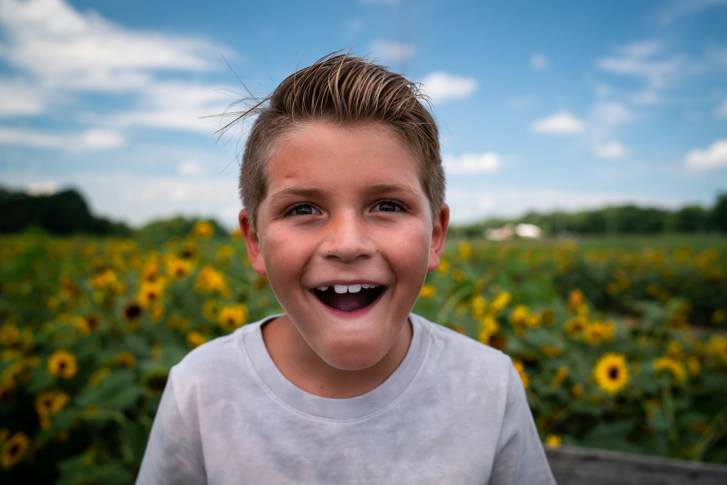 a little boy that is standing in front of sunflowers