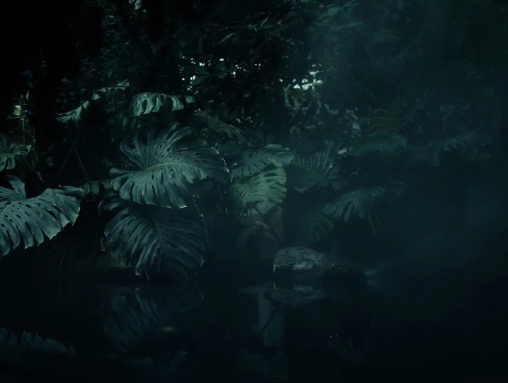 the image of some jungle plants and birds is very dark