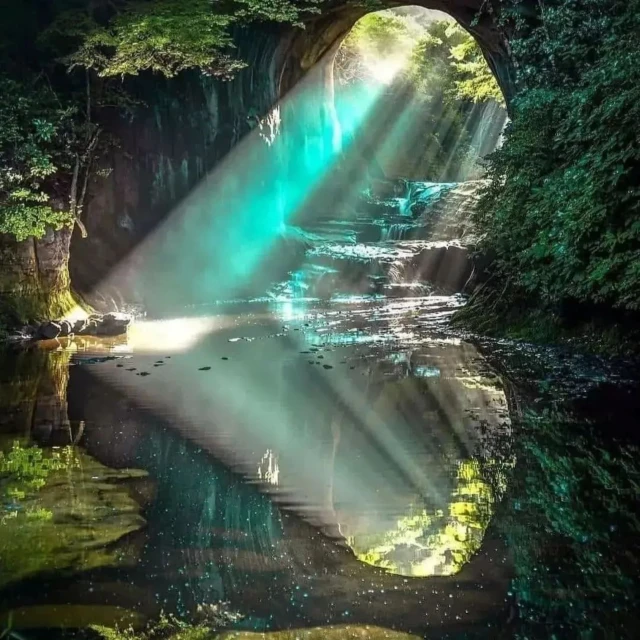 light streaks down the side of a tunnel in a forest