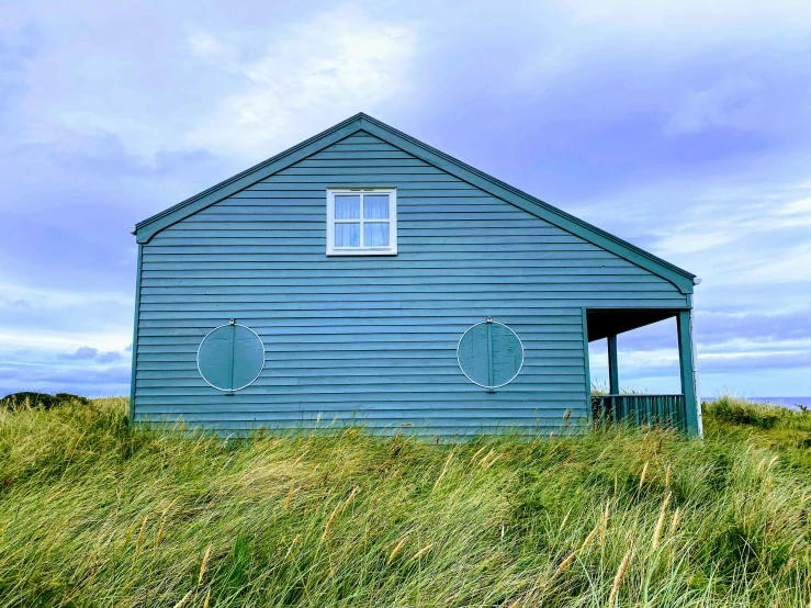 an old blue barn stands out in the grassy field