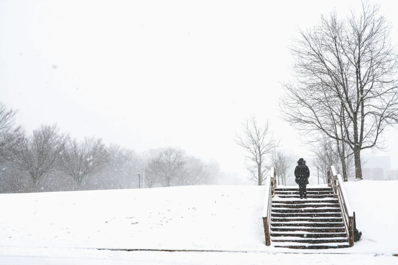 a staircase leads to trees and shrubs in snow