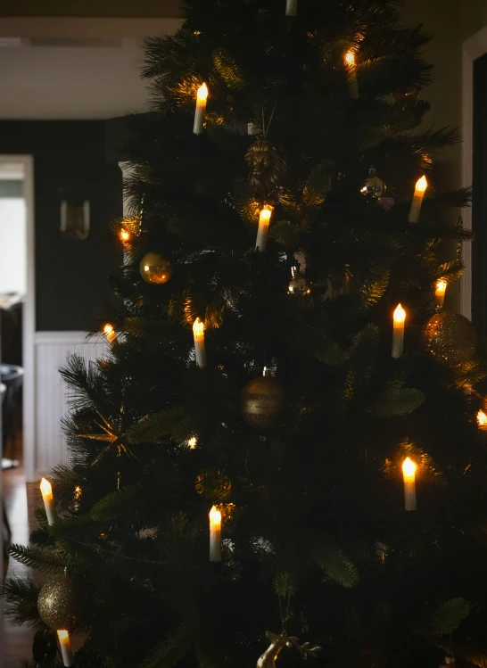 christmas tree with lit candles is displayed in dimly lit room