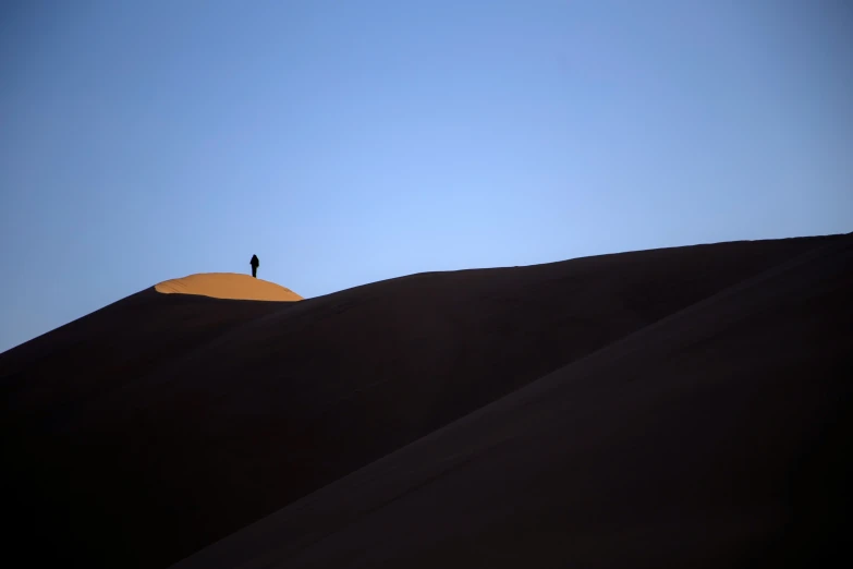 a lone bird is standing on a large dune