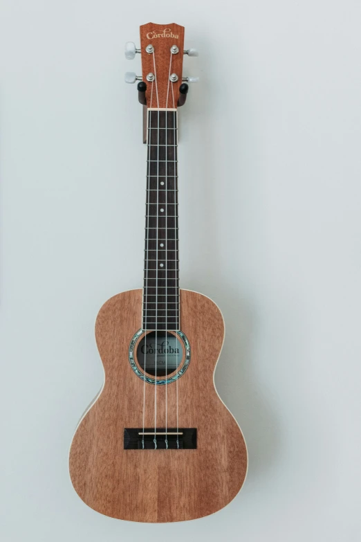 a small wooden guitar hanging on the wall