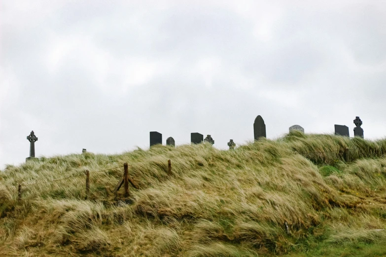 a group of stonehenge with tall grass growing out of the top of it