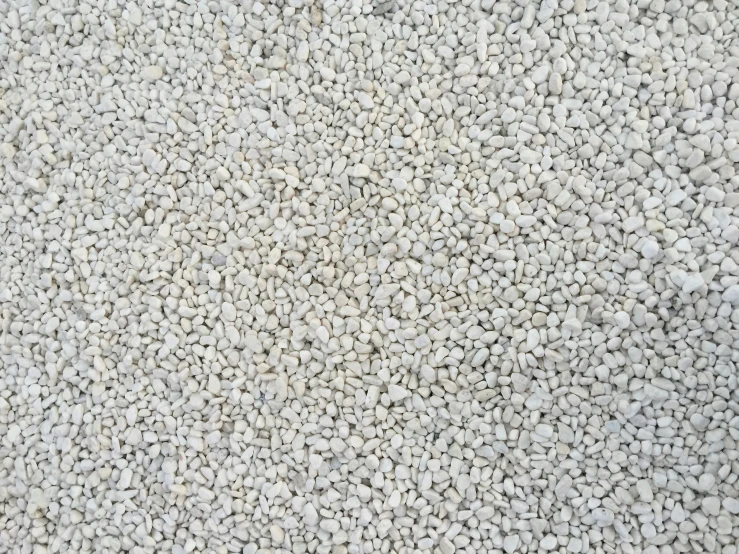 a textured carpet or soing with small bits of grey