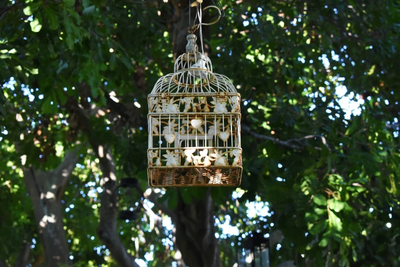 bird cage hanging in tree and another animal in front