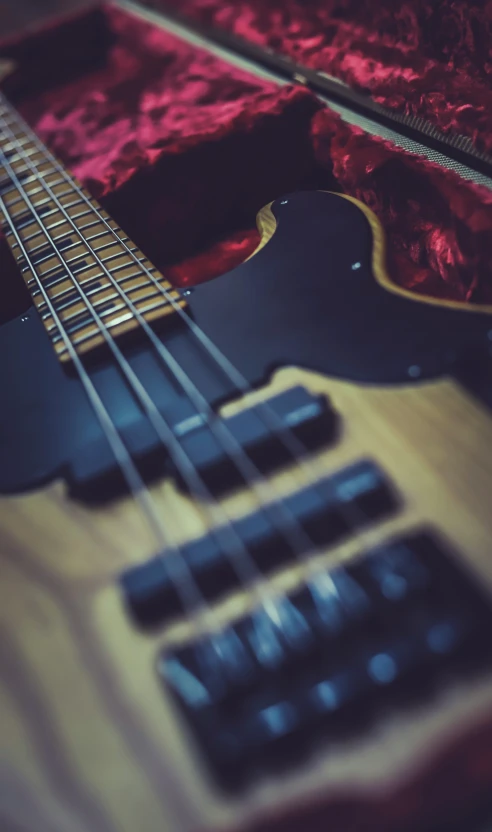 the inside of a guitar case, with it's head and neck missing