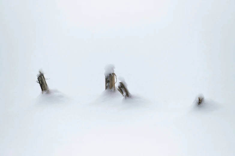 people are skiing down a mountain on snow