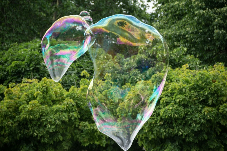 a couple of soap bubbles floating over a forest