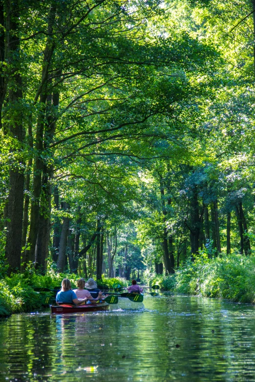 people are rowing a boat down a canal