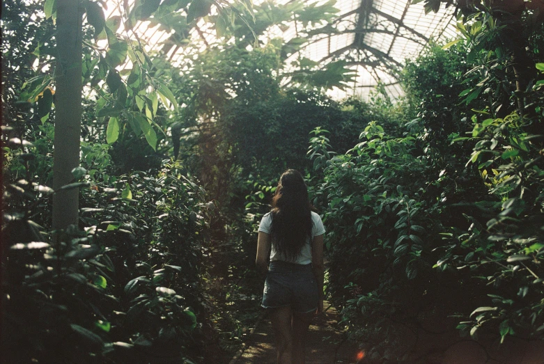 a woman walking down the middle of a jungle