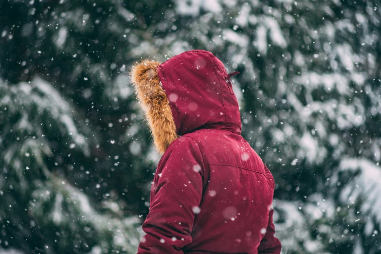 a girl in red hoodie standing next to trees covered with snow