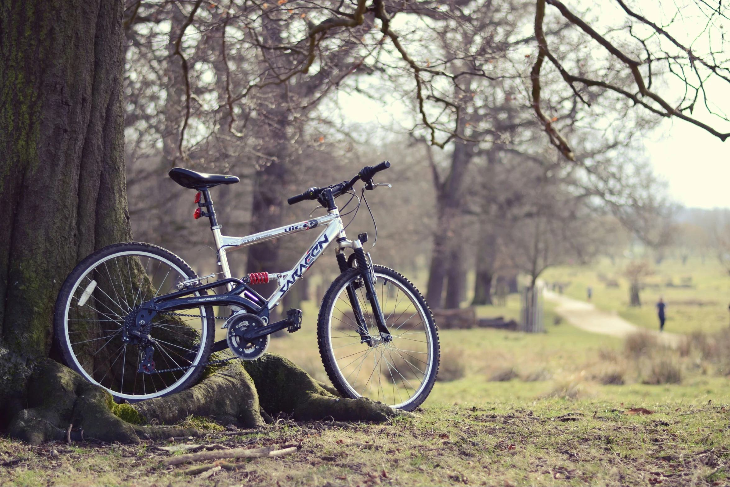 a bike leaning against a tree on a hill