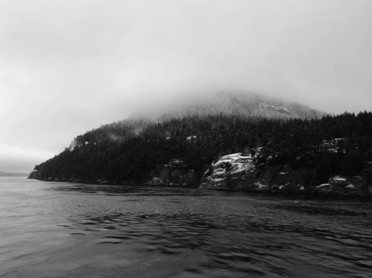 a black and white po with snow on the ground