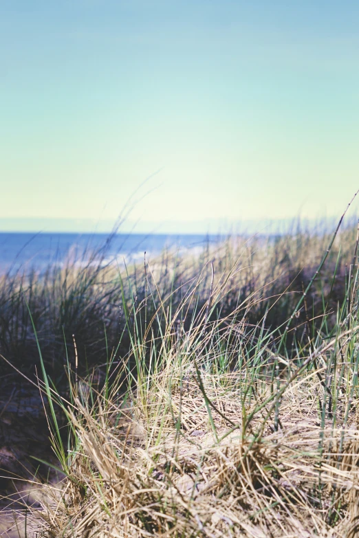 a view of the ocean from an almost dune