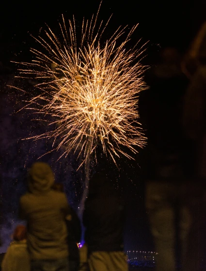 fireworks in the night sky with people