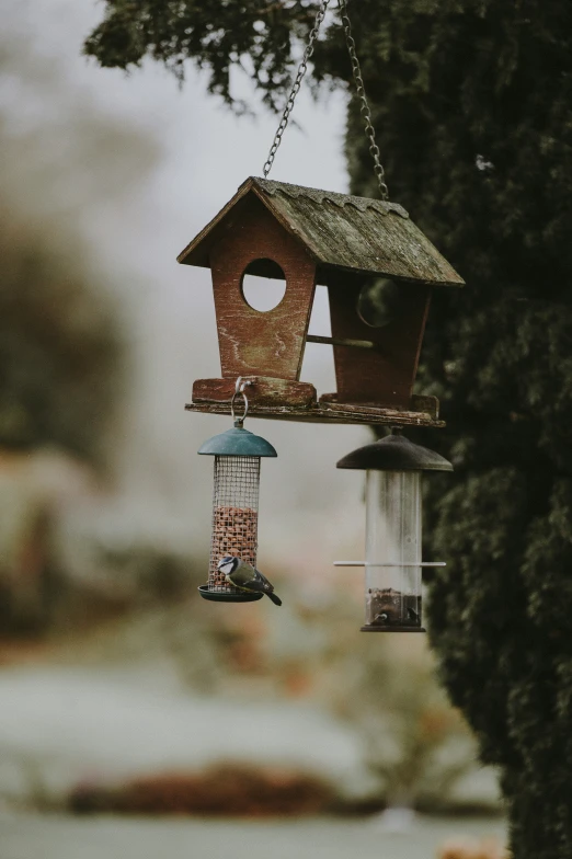 a birdhouse hanging on the side of a road