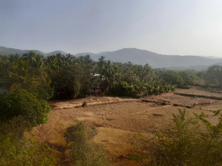 a hill with many trees around it in the countryside