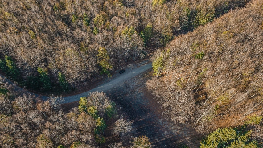 an aerial view of the roads in the forest