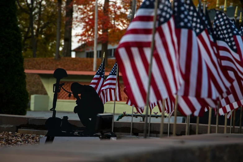 a bunch of american flags are next to each other