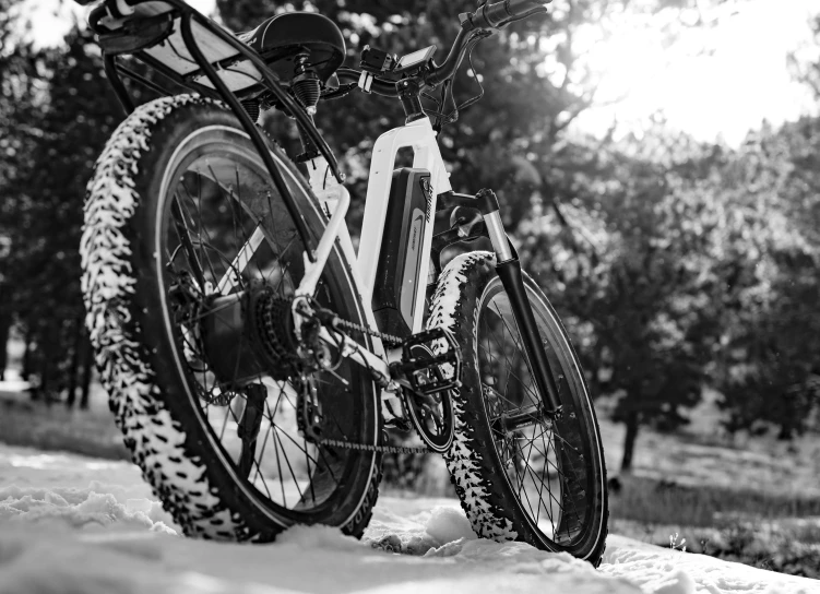 two snow bikes parked in the snow with trees behind them