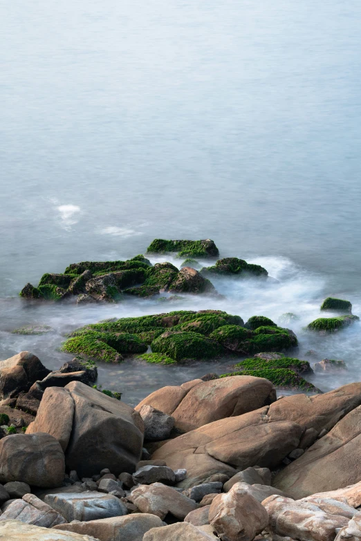 the rocks are covered in moss near the water