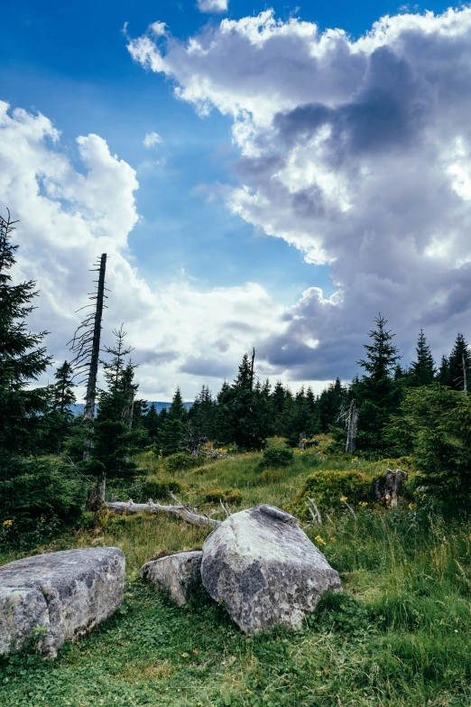 an image of a wilderness setting with rocks and trees