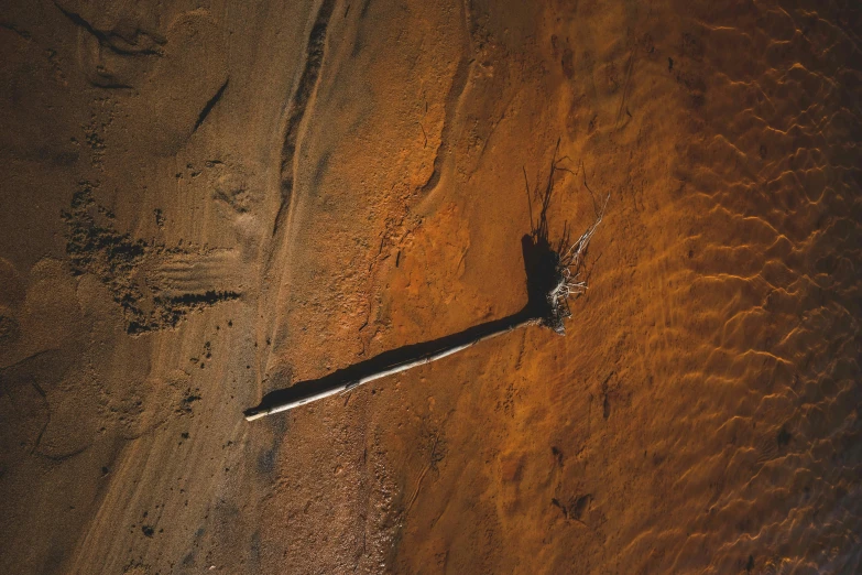 a person holding a surfboard walking on sand