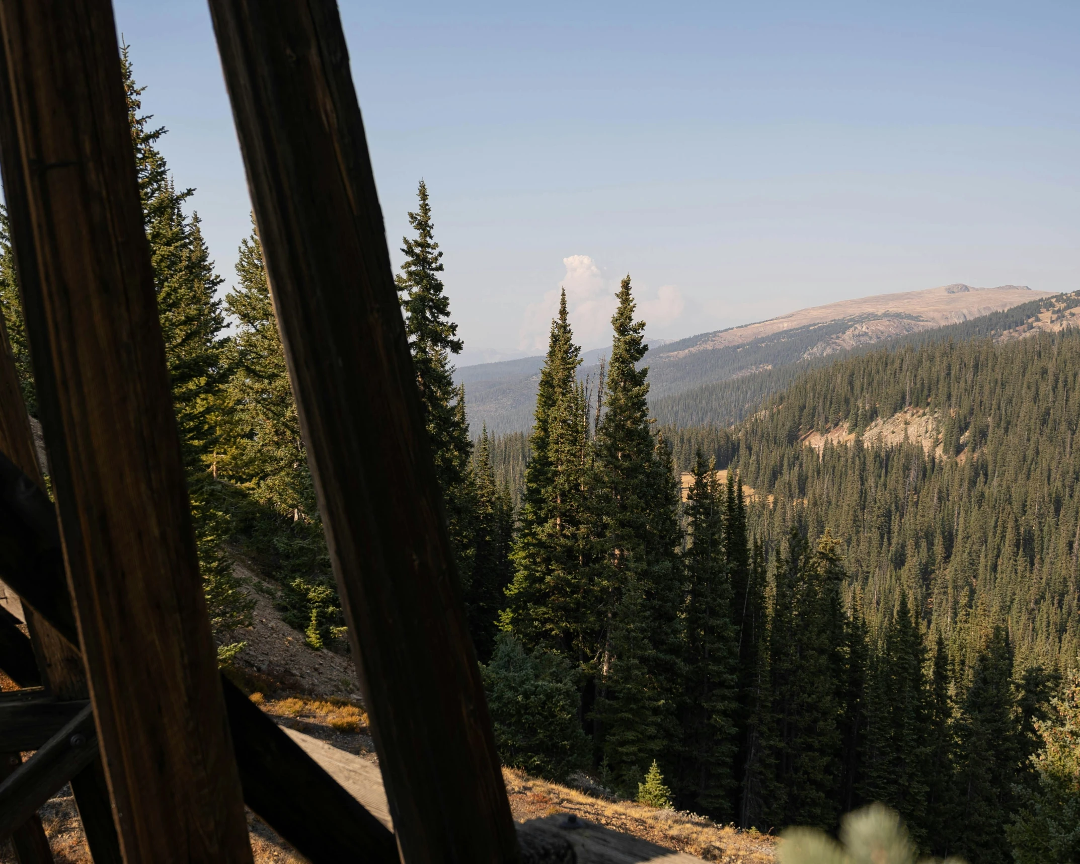 a mountain with several trees on it