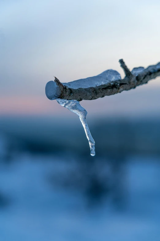 a piece of frozen ice hangs from a nch