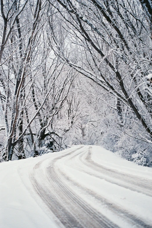 a road with some snow on it and trees