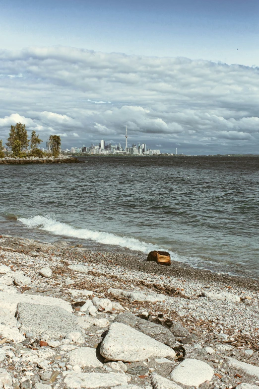 a black dog walking along an ocean shore