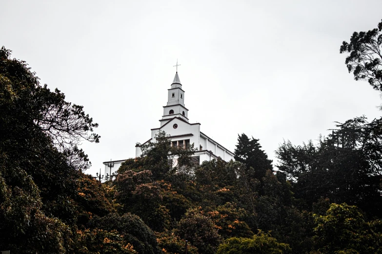 a large steeple stands above trees on a foggy day